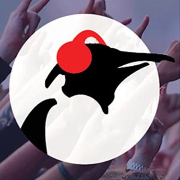 Pinguin On The Rocks