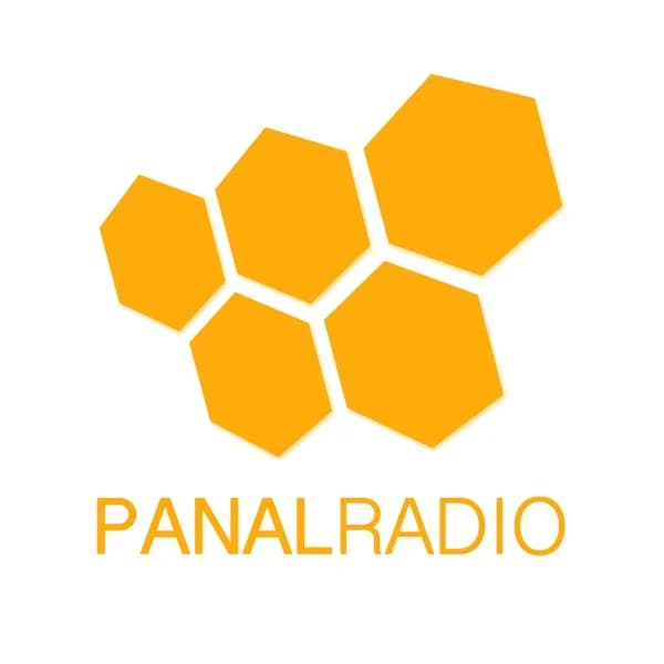 Panal Radio
