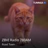 ZBVI Radio 780AM