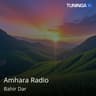 Amhara Radio