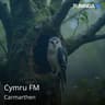 Cymru FM