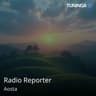 Radio Reporter