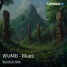WUMB - Blues