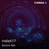indie617