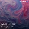 WDJM 91.3 FM