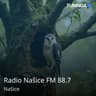 Radio Našice FM 88.7