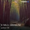K 105.3 - WKHM-FM