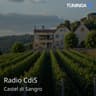 Radio CdiS