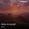Rádio Krokodýl