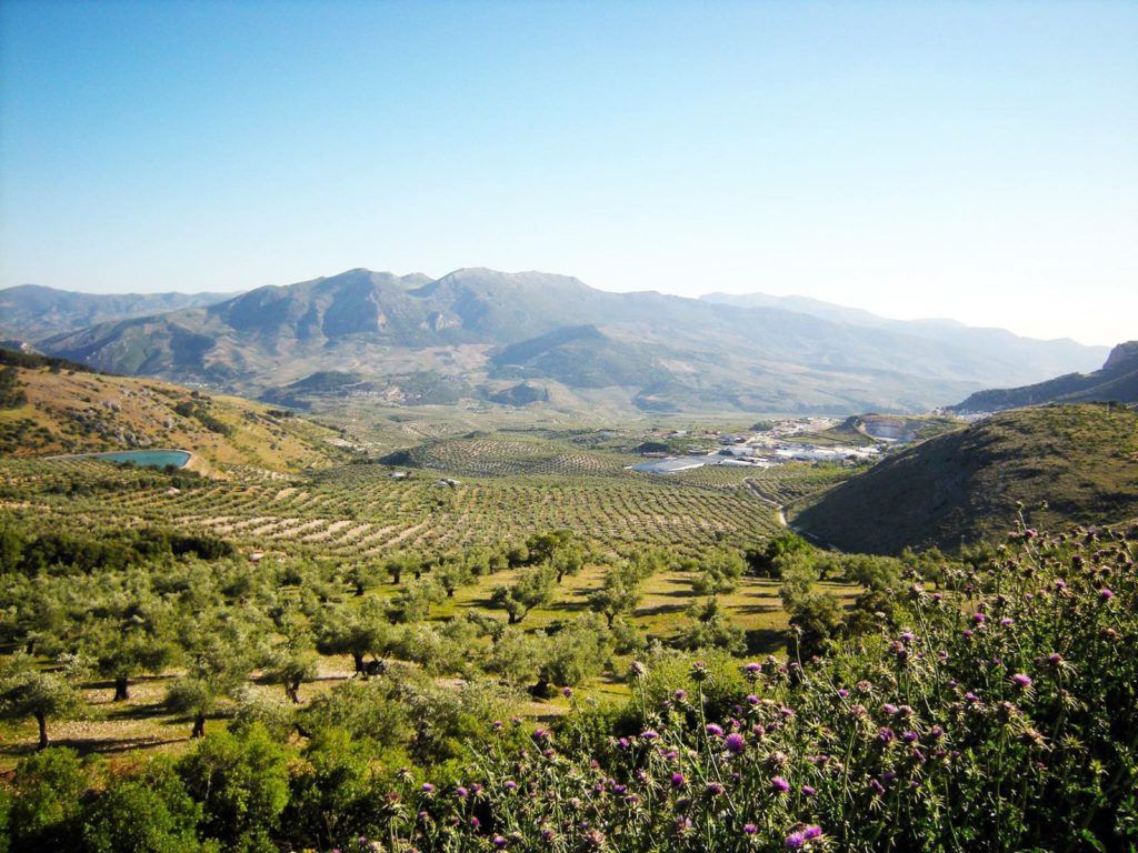 laFRESCA Sierra Mágina 104.0 FM