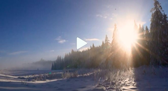 Alternativa Radio - Português